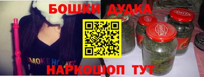 МДПВ Будённовск