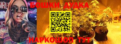МДПВ Будённовск