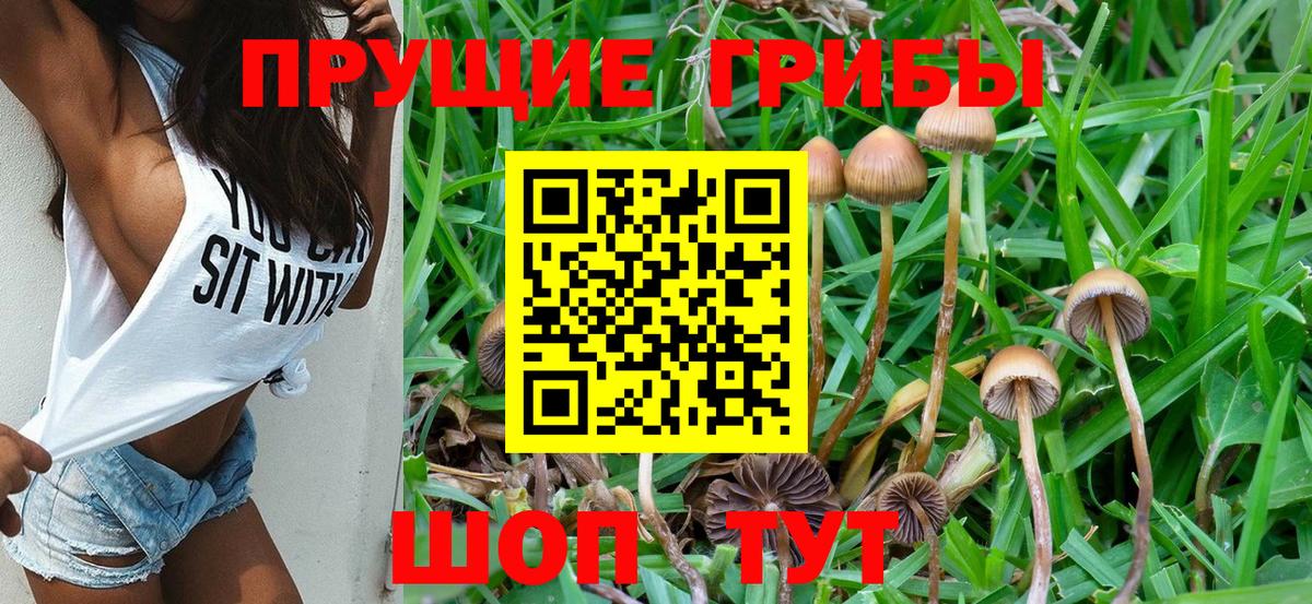 Псилоцибиновые грибы Cubensis  Вход с VPN  Бирск 