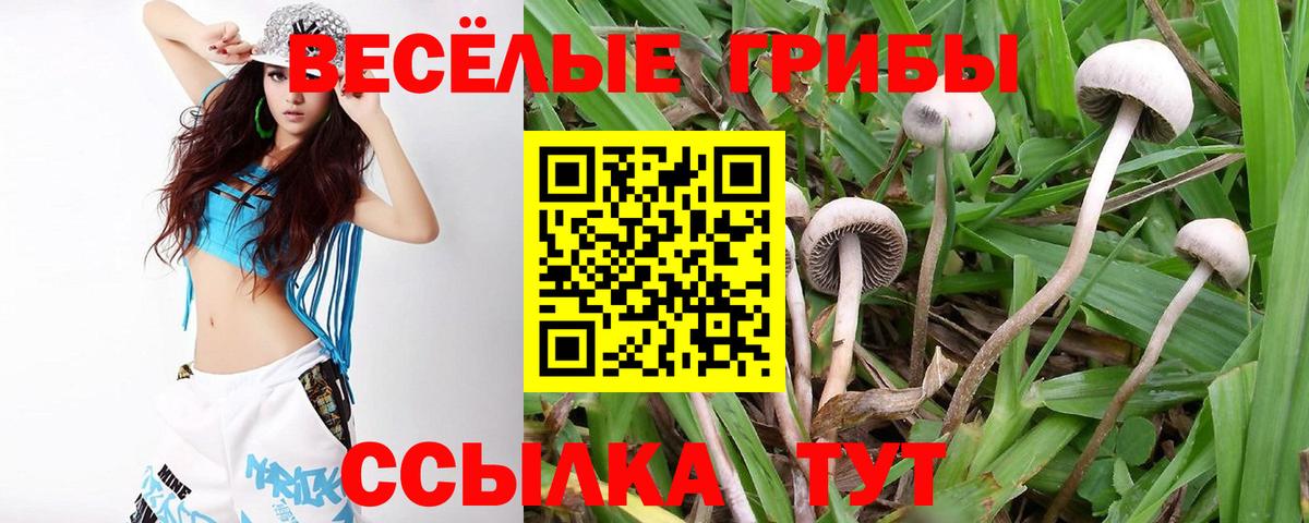 Галлюциногенные грибы ЛСД Бирск